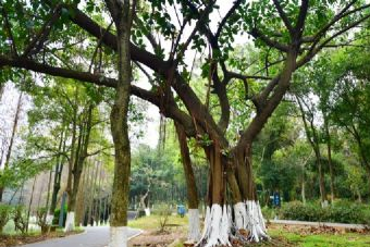 昆山城市生态森林公园在哪？昆山城市生态森林公园景点介绍