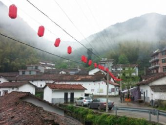 茶树坪村在哪？茶树坪村景点介绍