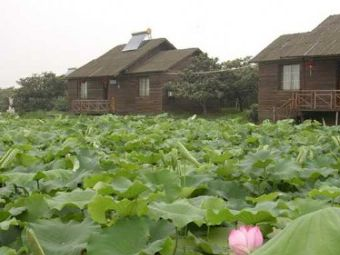 杨墩休闲农庄在哪?杨墩休闲农庄景点介绍