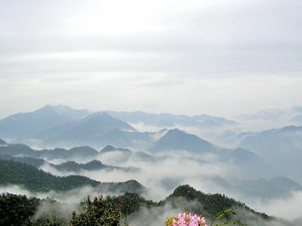 白菊花尖在哪？白菊花尖景点介绍