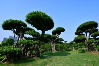 镜湖厅公园在哪？镜湖厅公园景点介绍