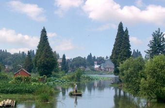 大豐斗龍莊園在哪？大豐斗龍莊園景點介紹