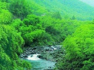 灵江源森林公园在哪？灵江源森林公园景点介绍