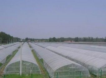 南蔡乡无公害蔬菜基地在哪？南蔡乡无公害蔬菜基地景点介绍