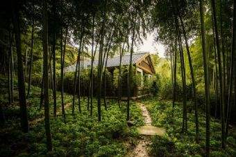 天目湖南山竹海景区在哪？天目湖南山竹海景区景点介绍