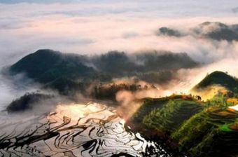 茗岙梯田在哪？茗岙梯田景点介绍