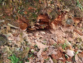 达河窑址群在哪？达河窑址群景点介绍