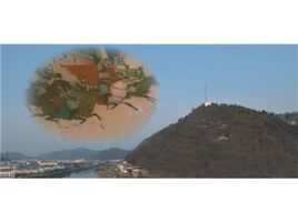 中站古城在哪?中站古城景点介绍