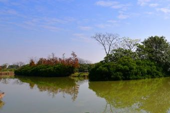 涇口濕地風情園在哪？涇口濕地風情園景點介紹