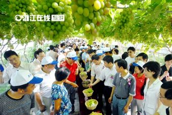 上虞盖北野藤葡萄园景区在哪？上虞盖北野藤葡萄园景区景点介绍