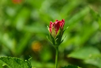 桃花坞创意园在哪?桃花坞创意园景点介绍