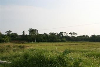 楚王城在哪？楚王城景點介紹