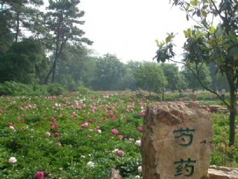 茱萸灣風(fēng)景區(qū)在哪？茱萸灣風(fēng)景區(qū)景點(diǎn)介紹