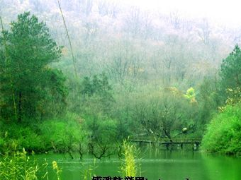 龙兴岛景区在哪？龙兴岛景区景点介绍