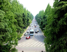 御道街在哪？御道街景點(diǎn)介紹