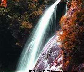 高井庙森林公园在哪?高井庙森林公园景点介绍