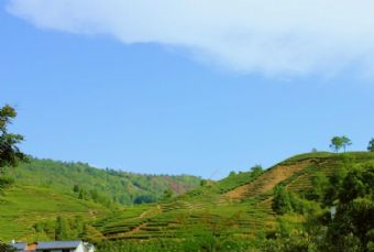 武夷山莲花峰在哪？武夷山莲花峰景点介绍