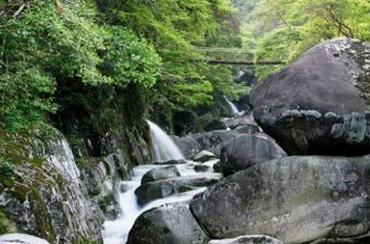 大鄣山卧龙谷在哪？大鄣山卧龙谷景点介绍