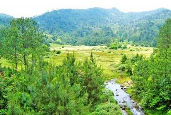 仙山牧场在哪？仙山牧场景点介绍