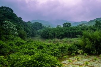 月洲村在哪？月洲村景點(diǎn)介紹