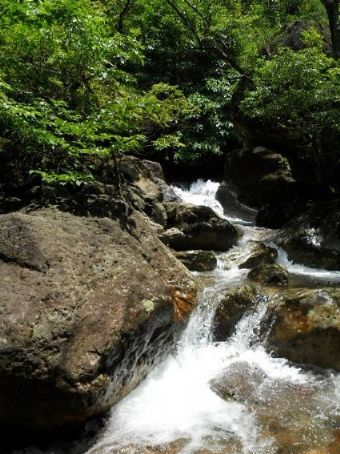 何源太山东峰峡谷在哪？何源太山东峰峡谷景点介绍