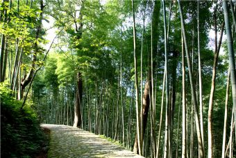 牛姆林生态旅游区在哪？牛姆林生态旅游区景点介绍