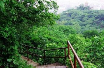 鹅山 井冈山鹅岭在哪？井冈山鹅岭（鹅山）景点介绍