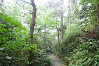 大化山风景区在哪？大化山风景区景点介绍