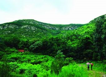 济南波罗峪旅游度假区在哪？济南波罗峪旅游度假区景点介绍