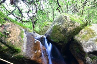 灵石山国家森林公园在哪？灵石山国家森林公园景点介绍