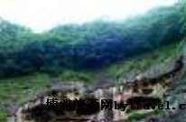 小葉崠林場在哪？小葉崠林場景點介紹