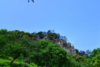 武陵岩森林公园在哪？武陵岩森林公园景点介绍