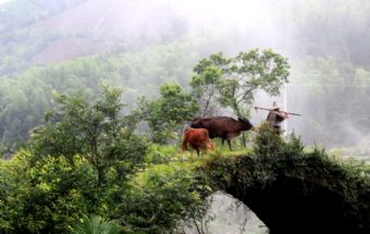 黄坑景区在哪？黄坑景区景点介绍