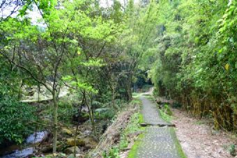 北岭山森林公园在哪？北岭山森林公园景点介绍