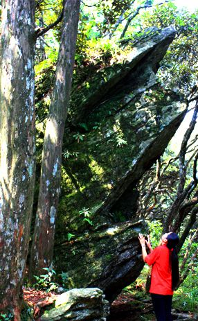 杜鹃山金蟾望月在哪？杜鹃山金蟾望月景点介绍