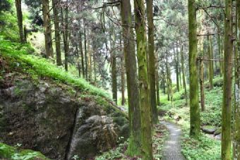 罗裳山在哪?罗裳山景点介绍