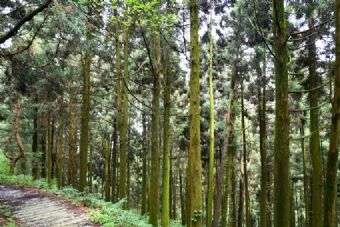 马祖山在哪？马祖山景点介绍