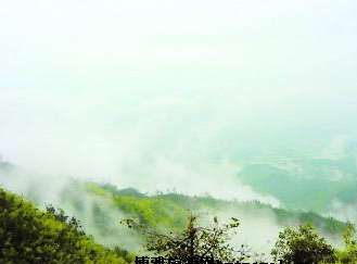 白云峰风景区在哪？白云峰风景区景点介绍