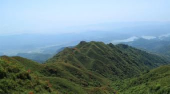 武功山箕峰景区在哪？武功山箕峰景区景点介绍