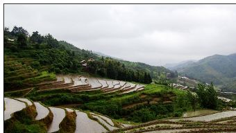 谢坪梯田在哪？谢坪梯田景点介绍