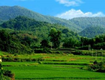 万家岭风景区在哪？万家岭风景区景点介绍