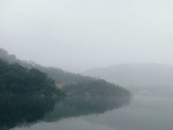 坂头森林公园在哪？坂头森林公园景点介绍