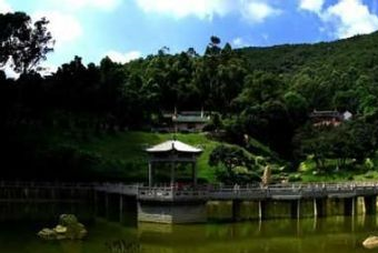 余江九龙峰在哪？余江九龙峰景点介绍