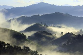 章庄竹海在哪?章庄竹海景点介绍
