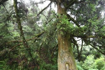 双泉山庄在哪？双泉山庄景点介绍