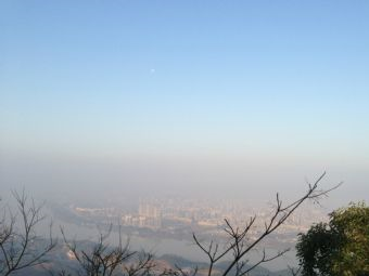 杨仙岭在哪？杨仙岭景点介绍