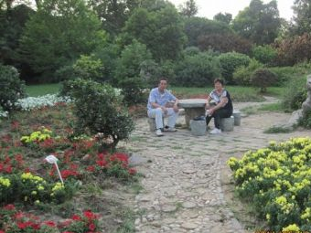 新兴镇彭雪枫革命纪念馆在哪？新兴镇彭雪枫革命纪念馆景点介绍