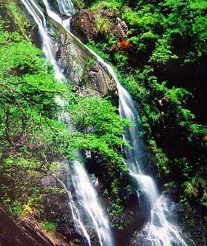 宜洋景区在哪?宜洋景区景点介绍