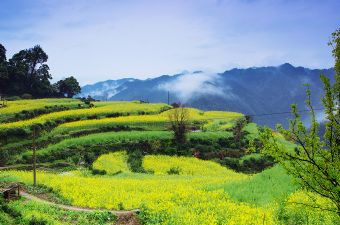 查平坦村在哪？查平坦村景点介绍