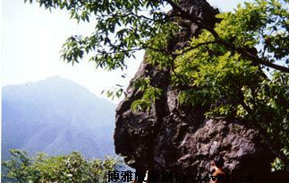 神雾山庄在哪？神雾山庄景点介绍